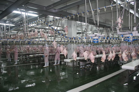 中国·永利yl23455(股份)有限公司-官方网站